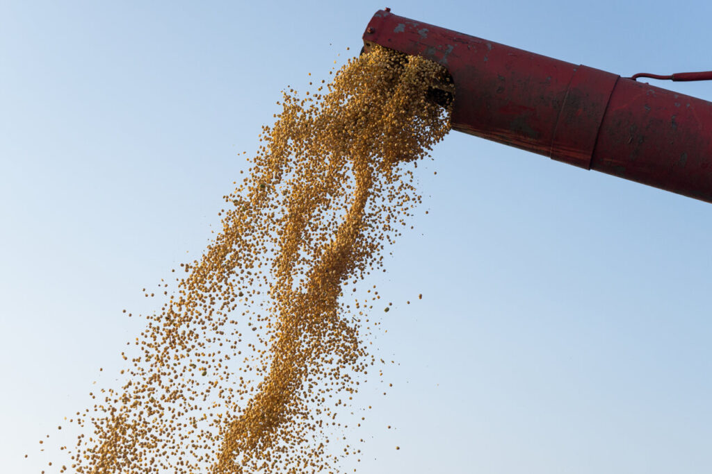 Commodities Agrícolas